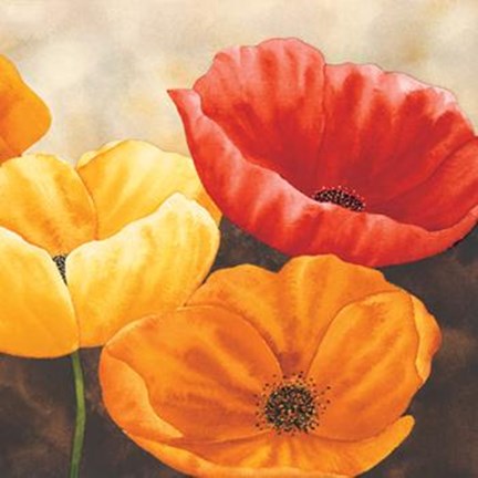 Framed Papaveri Variopinti II Print