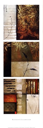 Framed Feathered Space Print