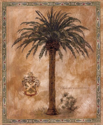 Framed Phoenix Canariensis Print