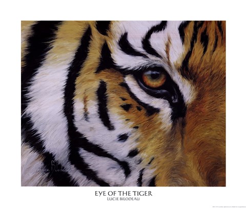 Framed Eye of the Tiger Print