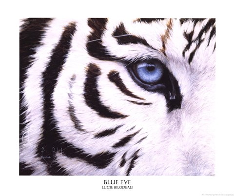 Framed Blue Eye Print