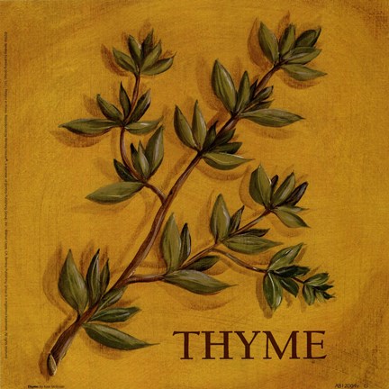 Framed Thyme Print