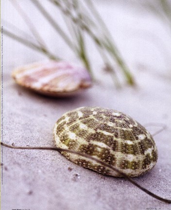 Framed Sandy Beach I Print