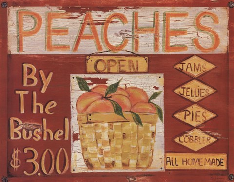 Framed Fruit Stand II Print