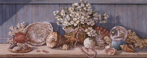 Framed Seashell Collection I Print