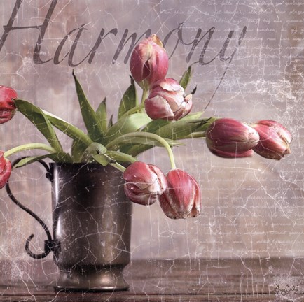 Framed Dutch Tulips II Print