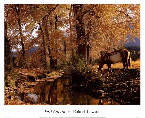 Framed Fall Colors Print