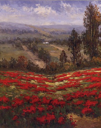 Framed Poppy Vista II Print