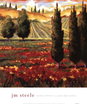 Framed Tuscany In Bloom III Print