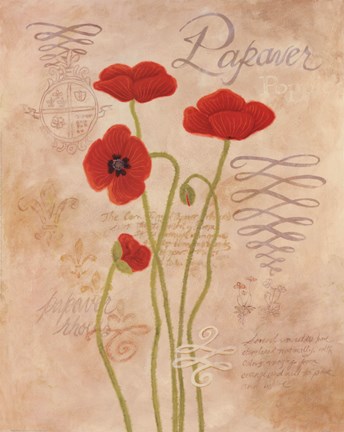 Framed Poppy Fresco I Print