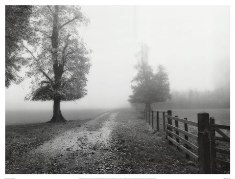 Framed Misty I Print