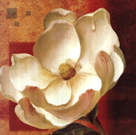 Framed Magnolia Square I Print