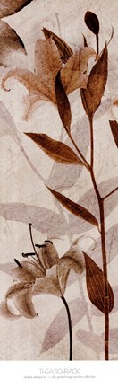 Framed Ambre Antique I Print