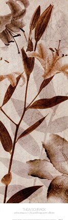 Framed Ambre Antique II Print