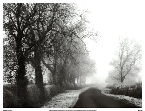 Framed Misty Tree-Lined Road Print