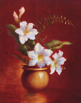 Framed Amaryllis Print