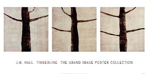 Framed Timberline Print