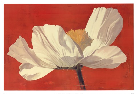 Framed Early Morning Print