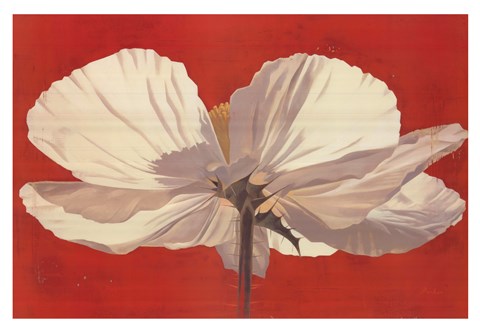 Framed Morning Sun Print