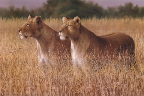 Framed Double Trouble Print