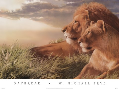 Framed Daybreak Print