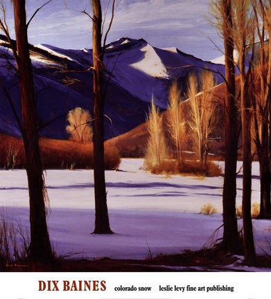 Framed Colorado Snow Print