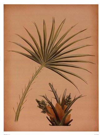 Framed Palm Frond I Print