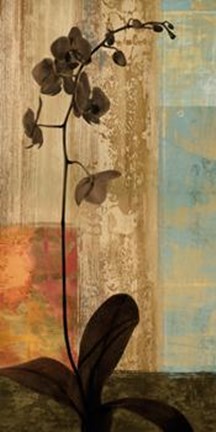 Framed Numinous I Print