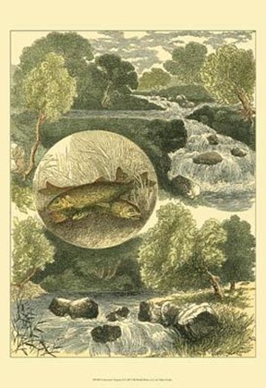 Framed Fisherman&#39;s Vignette I Print