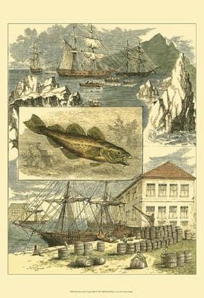 Framed Fisherman&#39;s Vignette III Print