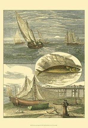 Framed Fisherman&#39;s Vignette IV Print