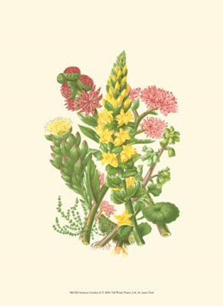 Framed Summer Garden X Print