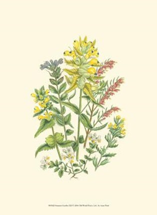 Framed Summer Garden XII Print