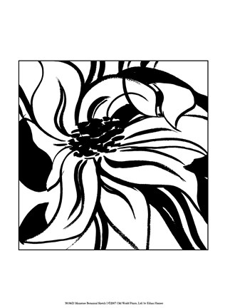 Framed Miniature Botanical Sketch I Print