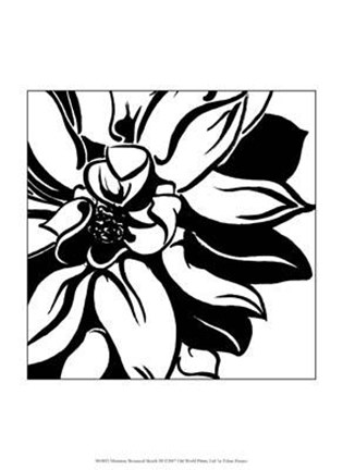 Framed Miniature Botanical Sketch III Print