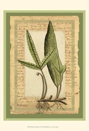 Framed Woodland Scrapbook IV Print