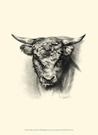 Framed Antique Cattle III Print