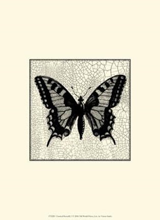 Framed Classical Butterfly I Print