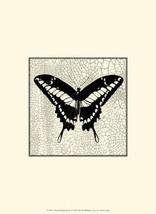 Framed Classical Butterfly IV Print