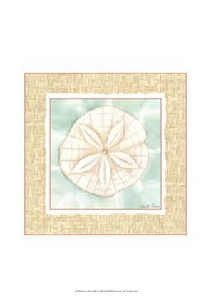Framed Ocean Sanddollar Print