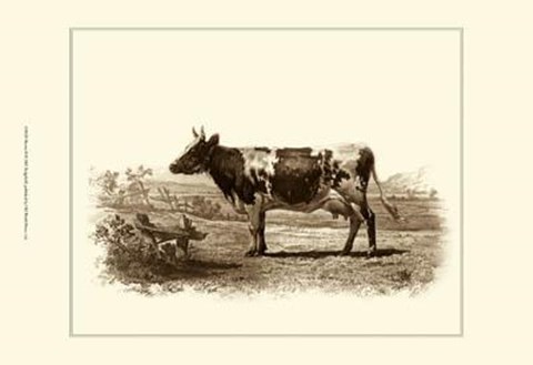 Framed Bovine II Print