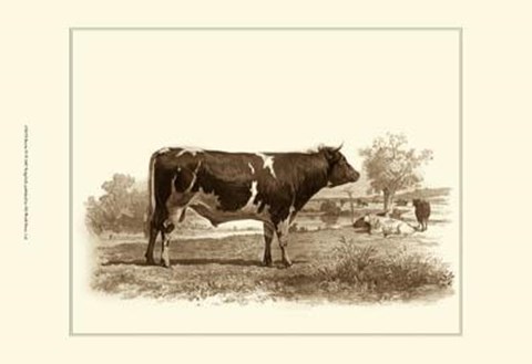 Framed Bovine IV Print