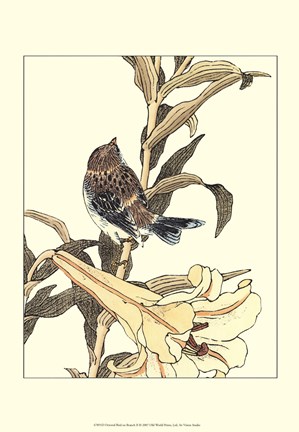 Framed Oriental Bird On Branch II Print