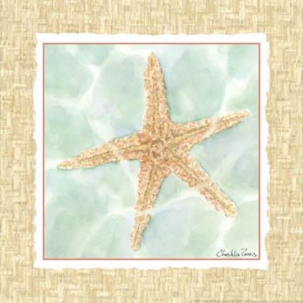 Framed Ocean Starfish Print