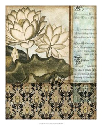 Framed Elegant Water Lily II Print