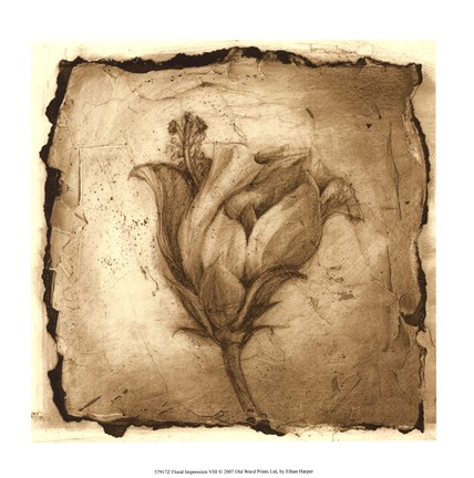 Framed Floral Impression VIII Print