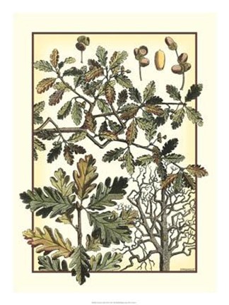 Framed Arts And Crafts Oak Print