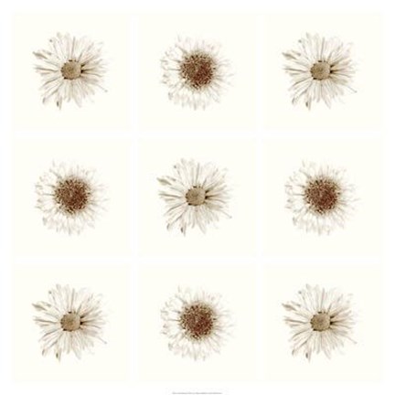 Framed Neutral Bouquet Print