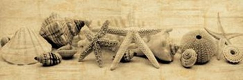 Framed Treasures II Print