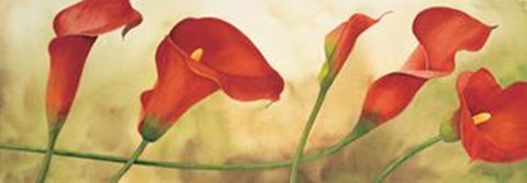 Framed Sinfonia Di Calle Print